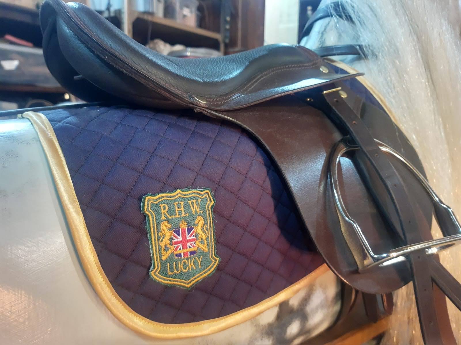 MyClientBox 2025MediumDeluxe